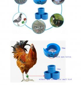 uhf RFID Animal Pigeon Chicken Bird Collar Tag programmable reusable animal rfid ring tag uhf bird legs rfid tag